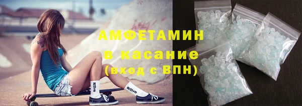 индика Инсар