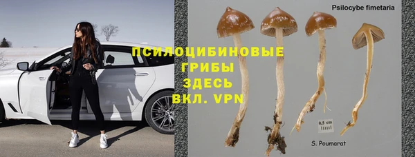 2c-b Инта