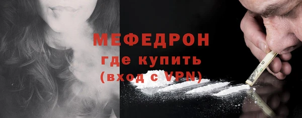 индика Инсар