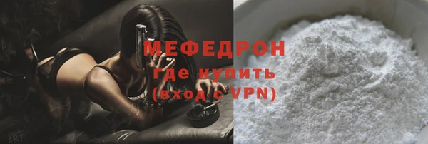 индика Инсар