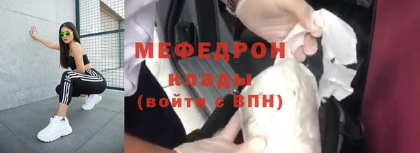 индика Инсар