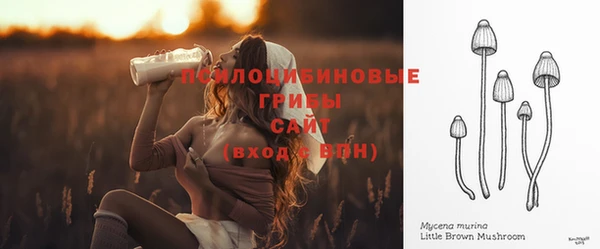 индика Инсар