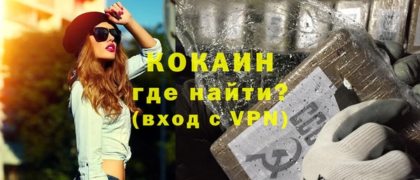 индика Инсар