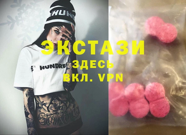 индика Инсар