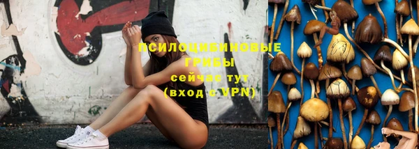 индика Инсар