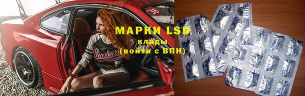 индика Инсар