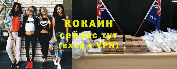 индика Инсар