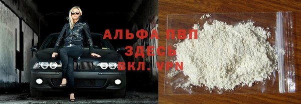 индика Инсар