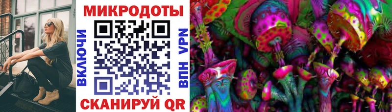 Купить  Чкаловск  Псилоцибиновые грибы Psilocybine cubensis 